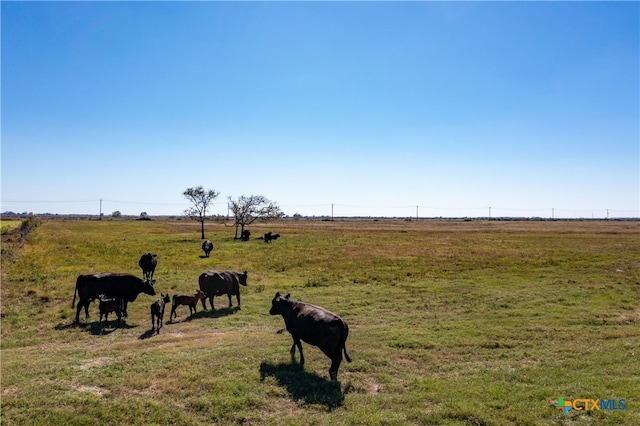 Listing photo 3 for 0 County Road 412, Edna TX 77957