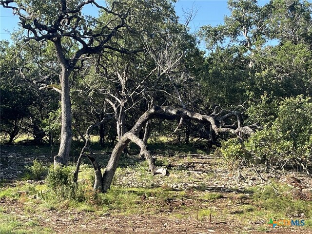 0 Rolling Creek St, Spring Branch, TX 78070 - photo 10