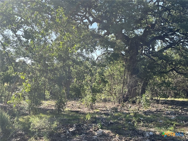 0 Rolling Creek St, Spring Branch, TX 78070 - photo 13