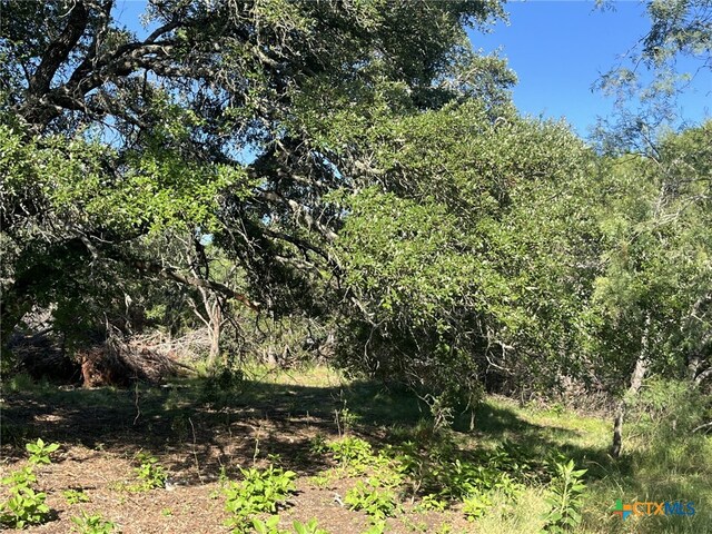 0 Rolling Creek St, Spring Branch, TX 78070 - photo 8