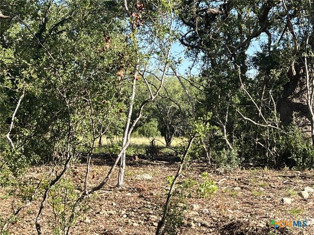 0 Rolling Creek St, Spring Branch, TX 78070 - photo 5