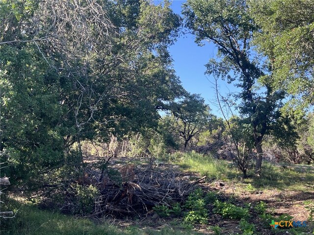 0 Rolling Creek St, Spring Branch, TX 78070 - photo 7