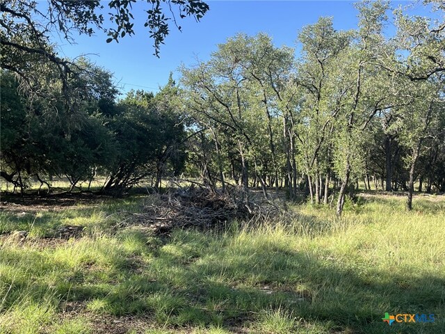 0 Rolling Creek St, Spring Branch, TX 78070 - photo 11
