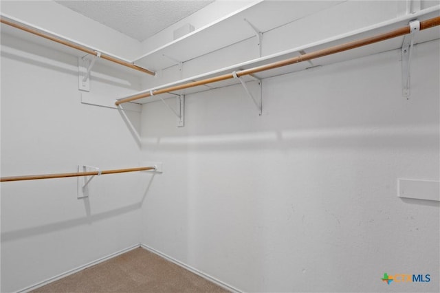 spacious closet with carpet