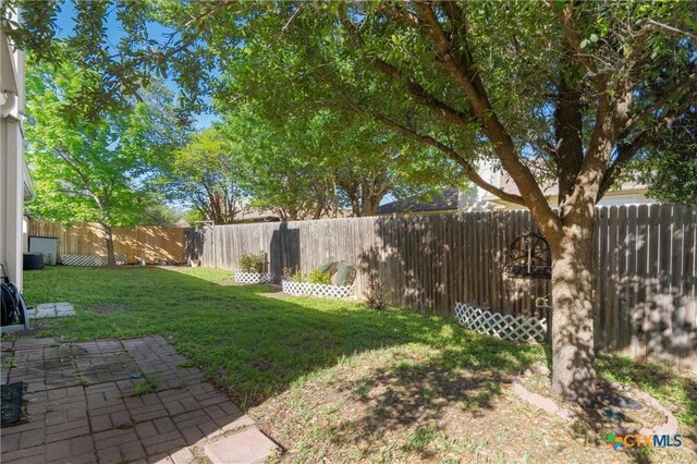 view of yard with a fenced backyard and a patio area