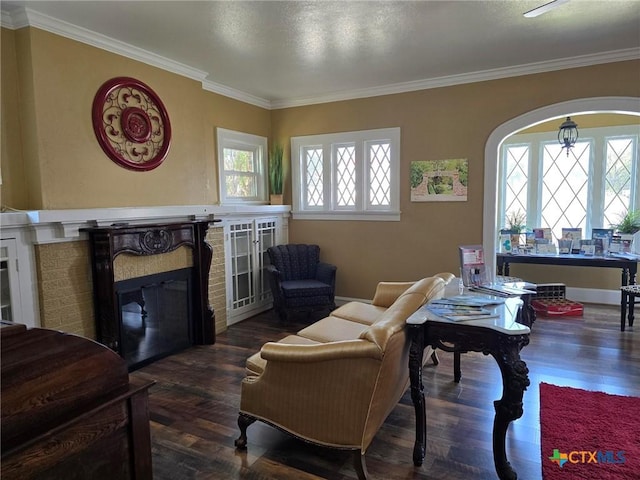 living room with a fireplace, dark wood-type flooring, and crown molding