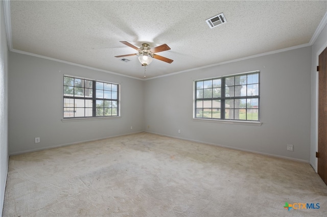 3909 Alderwood Ln, Temple, TX 76502 - empty room featuring crown molding, ceiling fan, carpet flooring, a textured ceiling, and baseboards