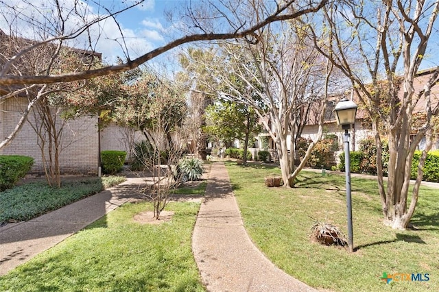 view of community with a lawn