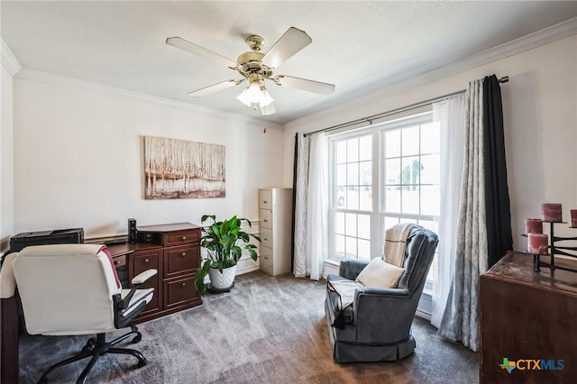 office space with carpet, a textured ceiling, ornamental molding, and a ceiling fan