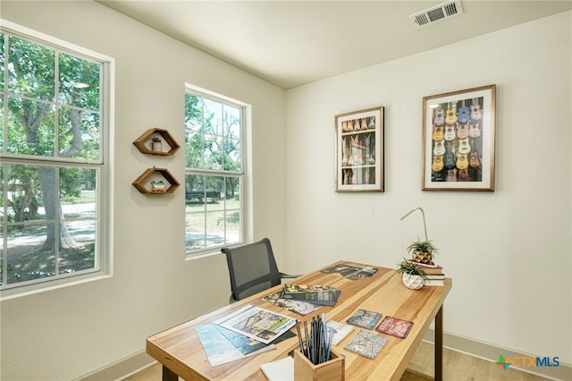 office space featuring wood-type flooring and plenty of natural light