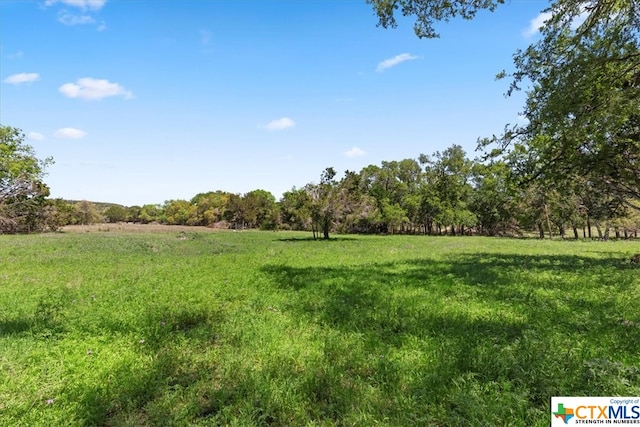 729 Rabbit Rd, Wimberley, TX 78676 - photo 26
