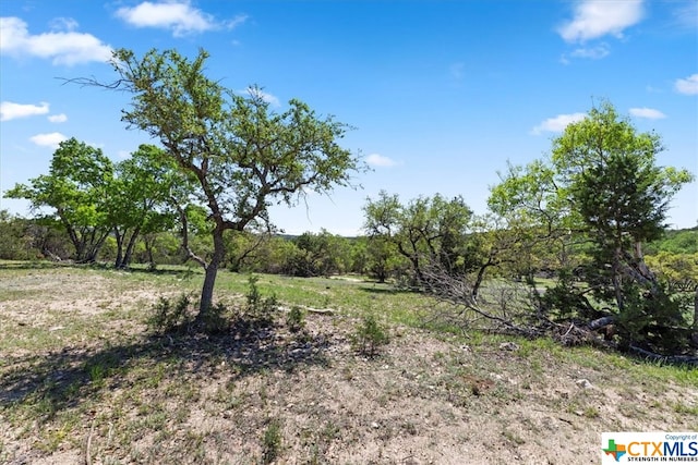 729 Rabbit Rd, Wimberley, TX 78676 - photo 15
