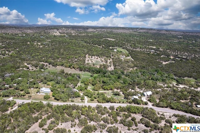 729 Rabbit Rd, Wimberley, TX 78676 - photo 14