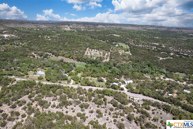 729 Rabbit Rd, Wimberley, TX 78676 - photo 19