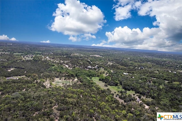 729 Rabbit Rd, Wimberley, TX 78676 - photo 20
