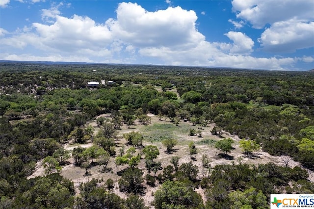729 Rabbit Rd, Wimberley, TX 78676 - photo 1