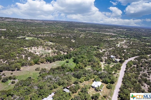 729 Rabbit Rd, Wimberley, TX 78676 - photo 22