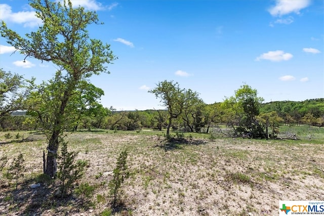 729 Rabbit Rd, Wimberley, TX 78676 - photo 27
