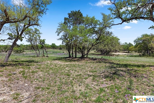 729 Rabbit Rd, Wimberley, TX 78676 - photo 13