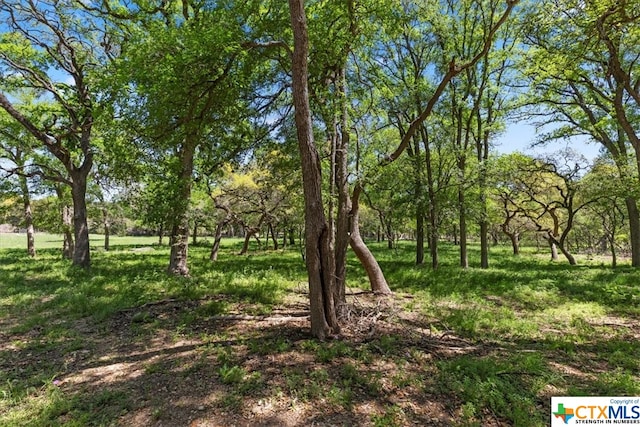 729 Rabbit Rd, Wimberley, TX 78676 - photo 7
