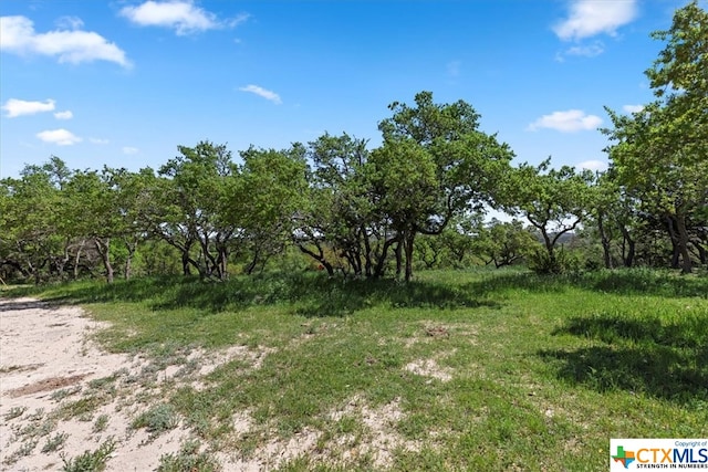 729 Rabbit Rd, Wimberley, TX 78676 - photo 6