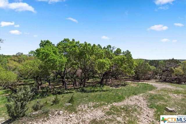729 Rabbit Rd, Wimberley, TX 78676 - photo 8