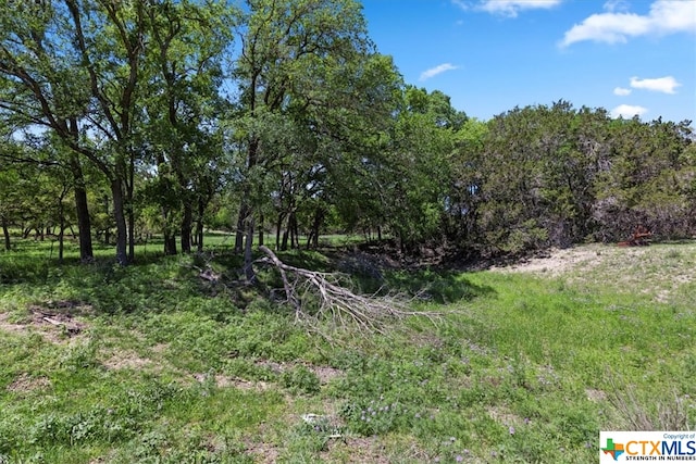729 Rabbit Rd, Wimberley, TX 78676 - photo 24