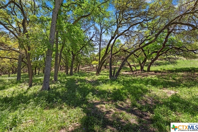 729 Rabbit Rd, Wimberley, TX 78676 - photo 10