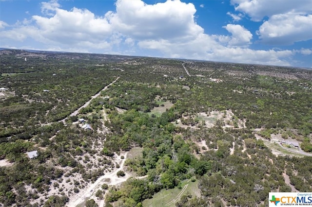 729 Rabbit Rd, Wimberley, TX 78676 - photo 23