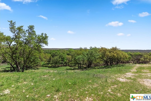 729 Rabbit Rd, Wimberley, TX 78676 - photo 5