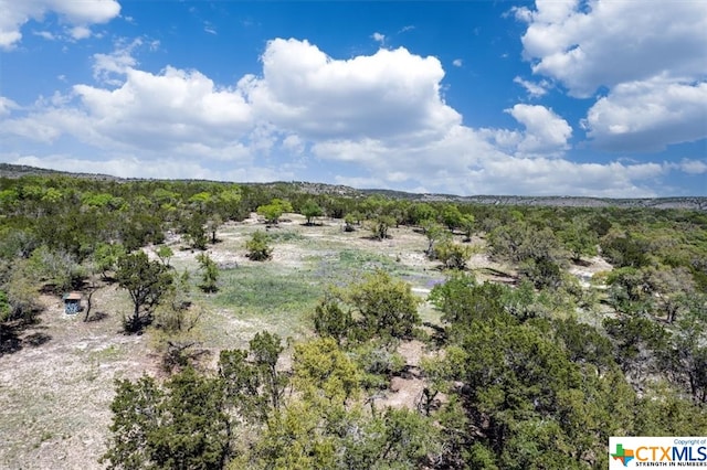 729 Rabbit Rd, Wimberley, TX 78676 - photo 2