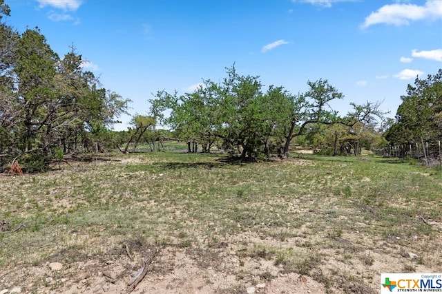 729 Rabbit Rd, Wimberley, TX 78676 - photo 9