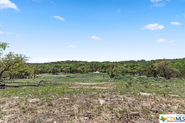 729 Rabbit Rd, Wimberley, TX 78676 - photo 11