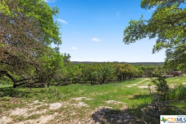 Listing photo 3 for 729 Rabbit Rd, Wimberley TX 78676