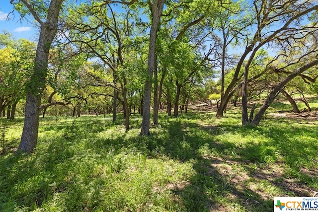 729 Rabbit Rd, Wimberley, TX 78676 - photo 12