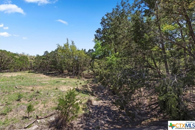 729 Rabbit Rd, Wimberley, TX 78676 - photo 18