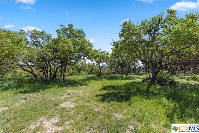 729 Rabbit Rd, Wimberley, TX 78676 - photo 4