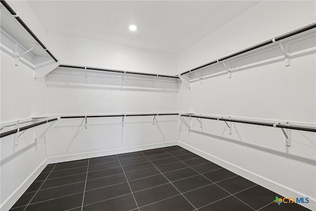 1516 Dancing Oak Ln, San Marcos, TX 78666 - spacious closet with dark tile patterned flooring
