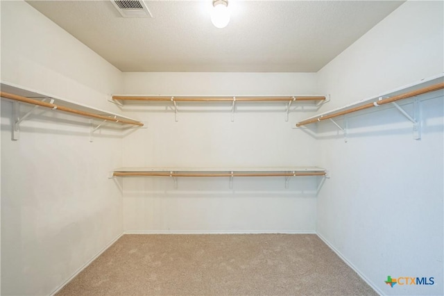 walk in closet with visible vents and carpet