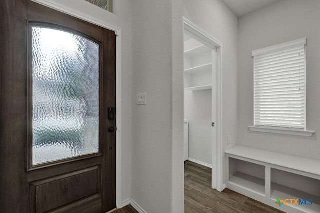 foyer featuring dark hardwood / wood-style flooring