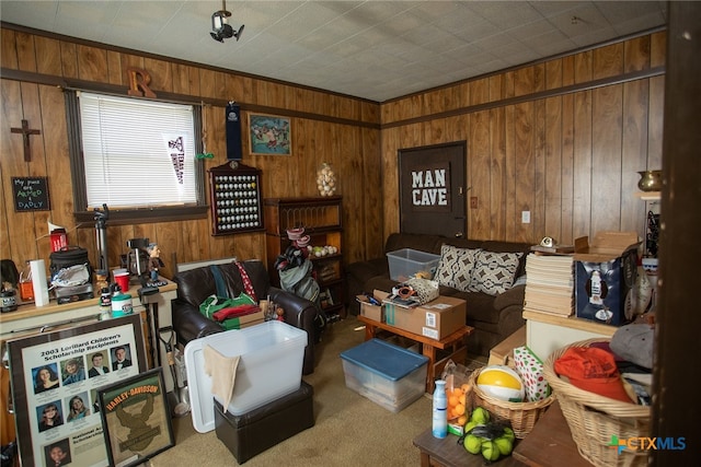 interior space with wooden walls and carpet flooring