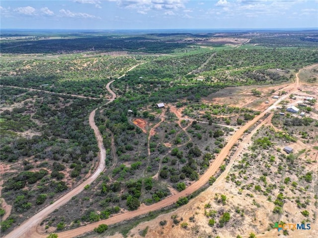 7331 County Road 121, Richland Springs, TX 76871 - photo 1