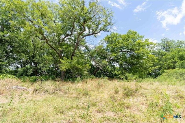 TBD Fm 671, Luling, TX 78648 - photo 15