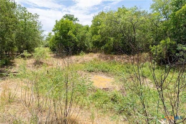 TBD Fm 671, Luling, TX 78648 - photo 30