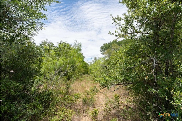 TBD Fm 671, Luling, TX 78648 - photo 29