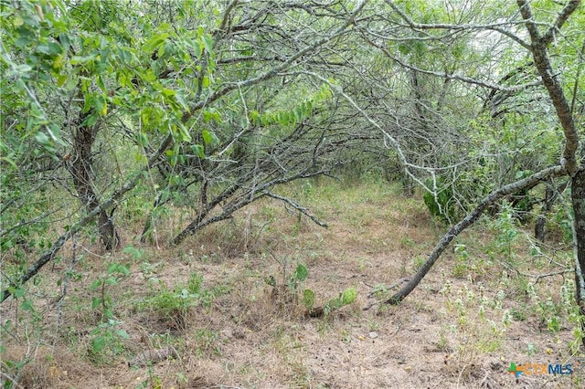 TBD Fm 671, Luling, TX 78648 - photo 32