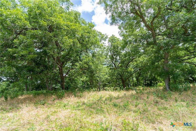 TBD Fm 671, Luling, TX 78648 - photo 18