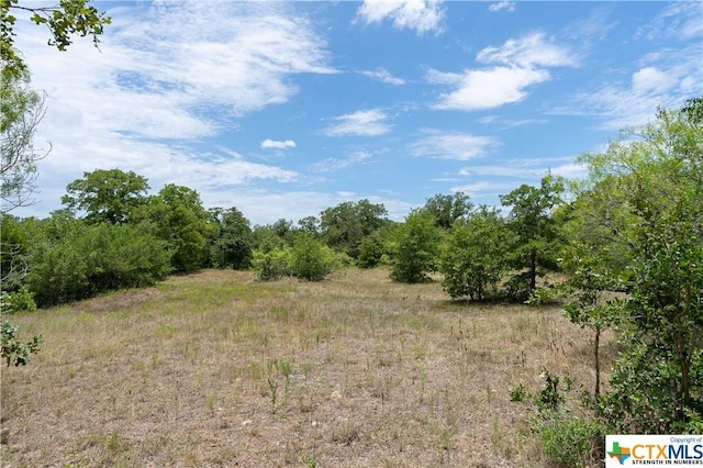 TBD Fm 671, Luling, TX 78648 - photo 6