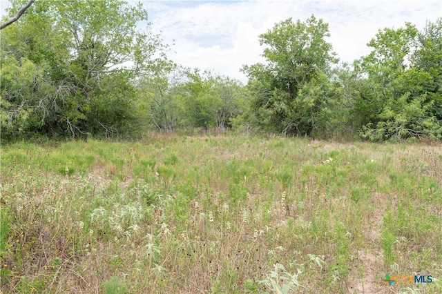 TBD Fm 671, Luling, TX 78648 - photo 35