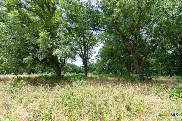 TBD Fm 671, Luling, TX 78648 - photo 17